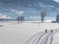 Langlaufen ©Becknaphoto 2